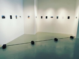 Chelsea Leventhal